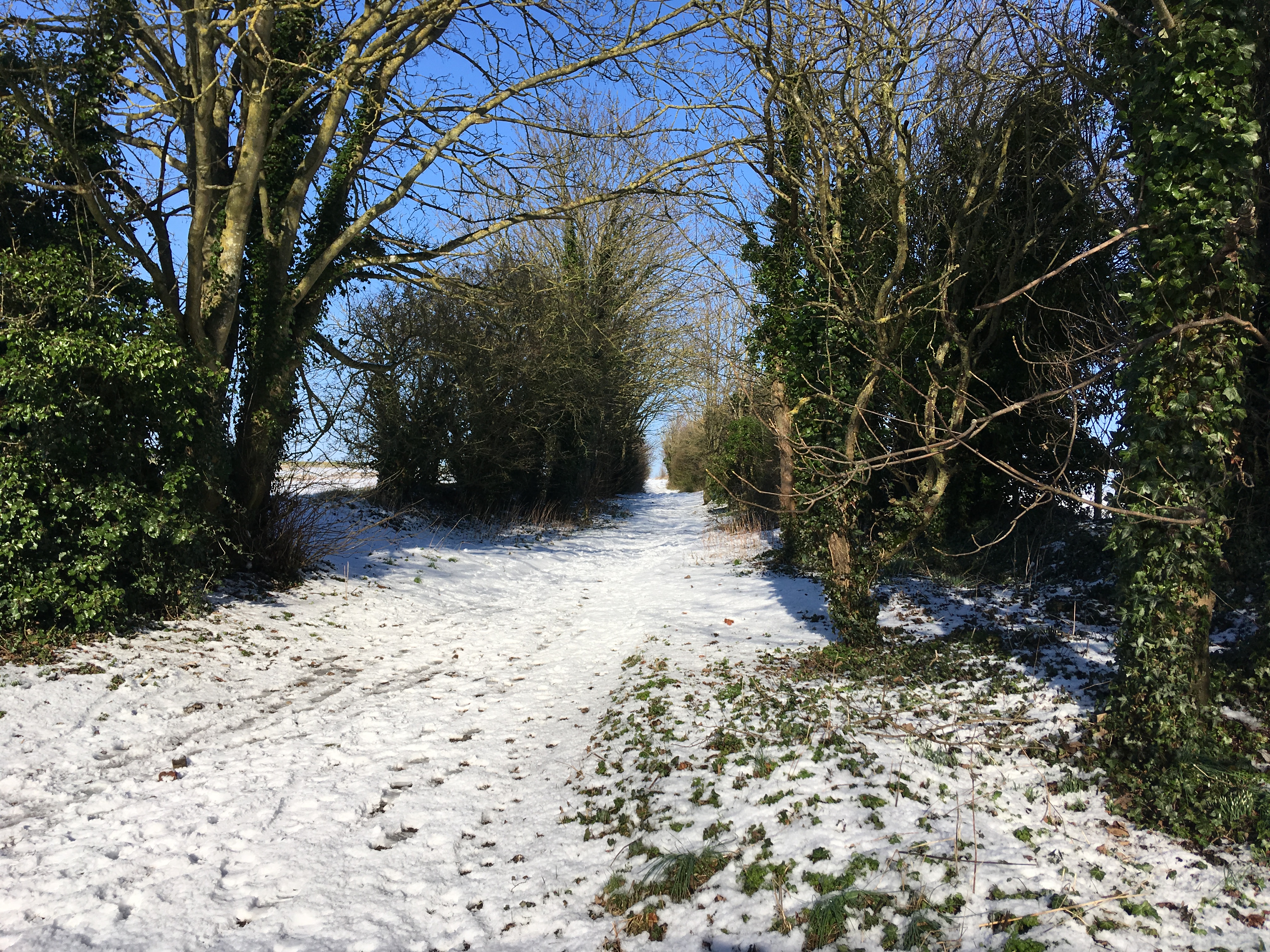 Berry Road