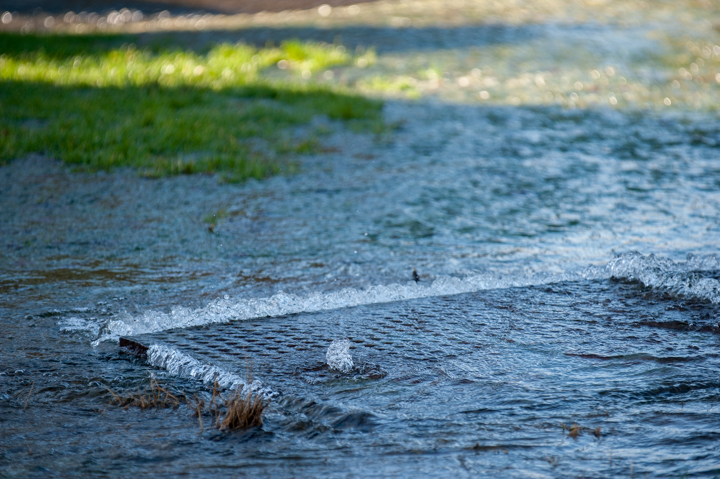 A flooded area with water flowing over a metal grate, surrounded by greenery. The surface of the water reflects sunlight, creating a shimmering effect.