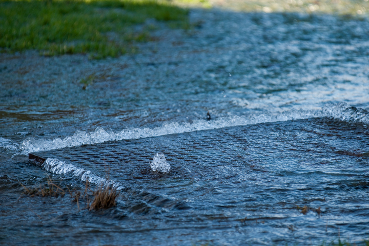 Flooded drainage grate surrounded by water and greenery, highlighting urban drainage issues and water management challenges.