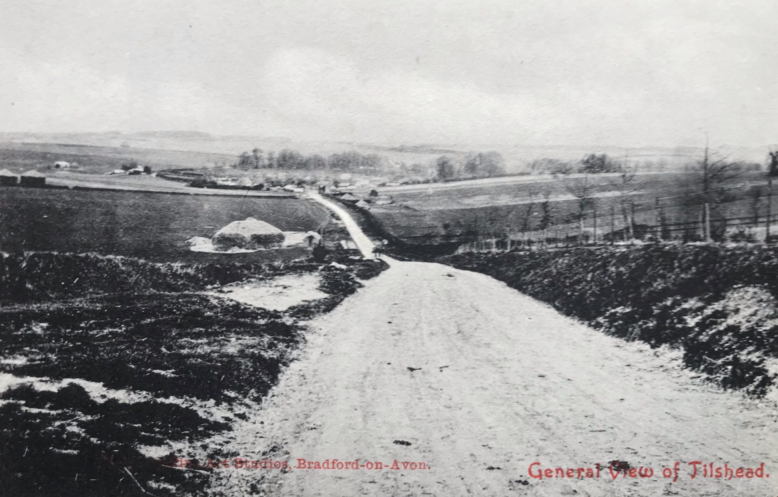 A black-and-white postcard depicting a rural view of Tilshead, with a dirt road leading through fields, lined with trees and distant houses under a cloudy sky.
