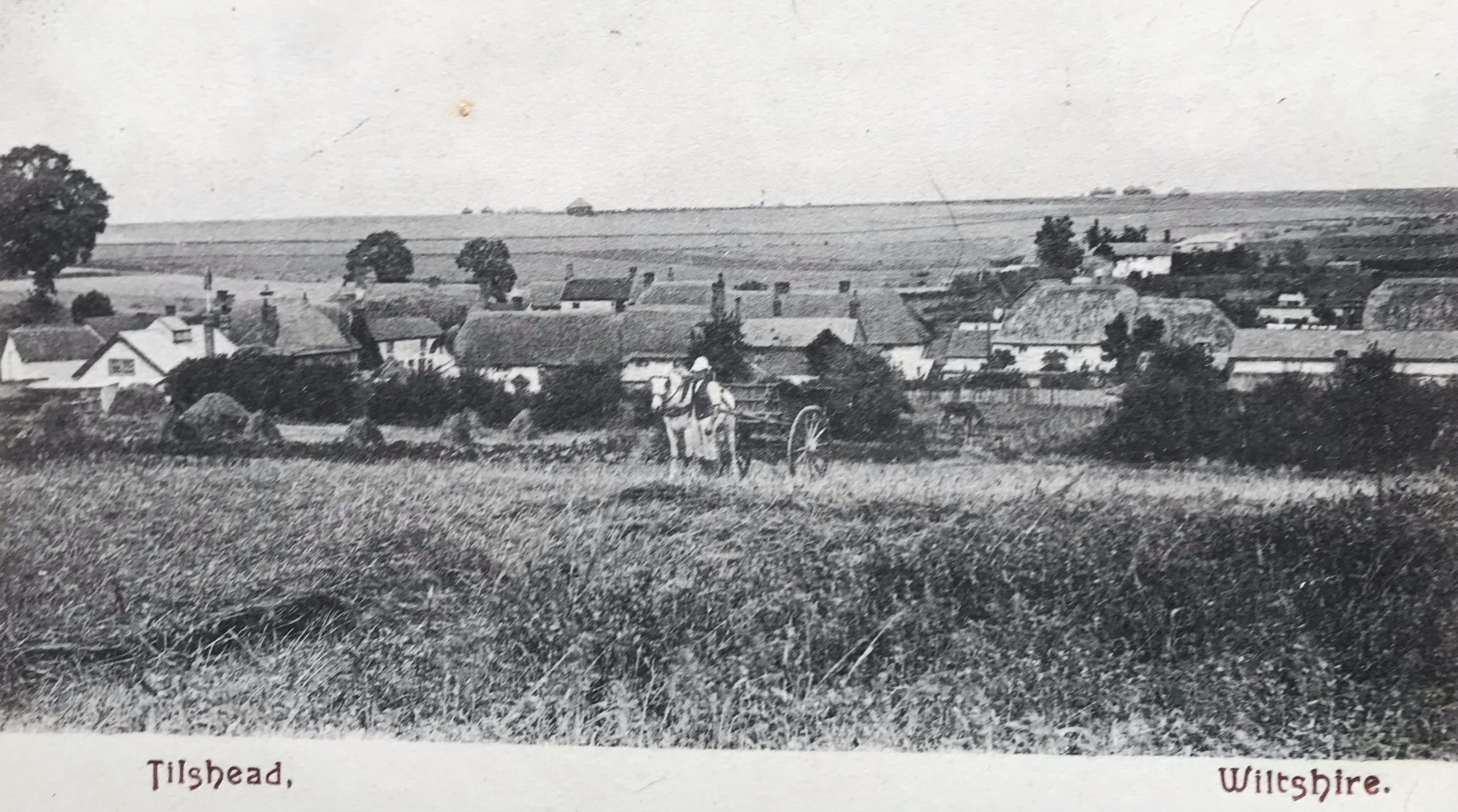 Black and white historical photograph of a rural landscape featuring a small village with traditional houses, fields, and trees, capturing the serene countryside atmosphere.